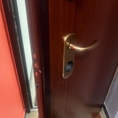 remplacement sur porte blindée